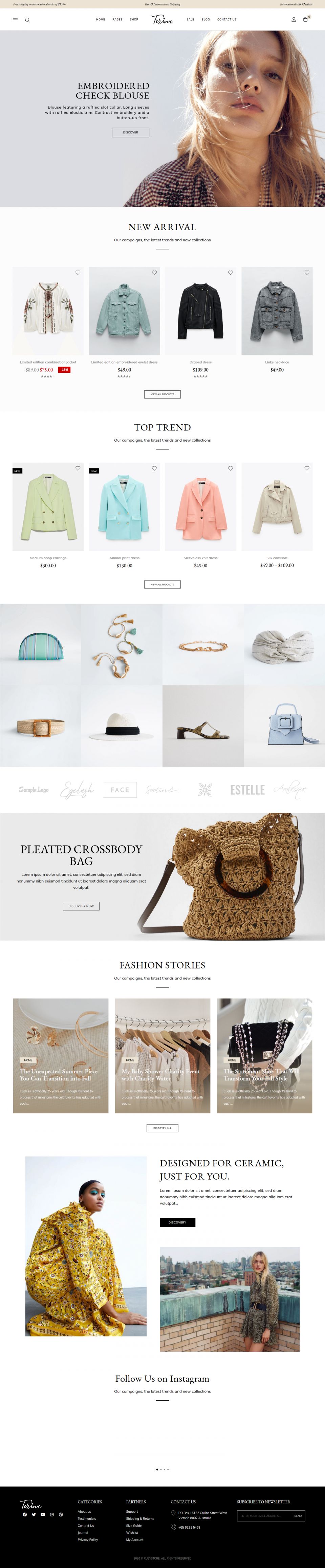 WordPress template ThemeForest Terina