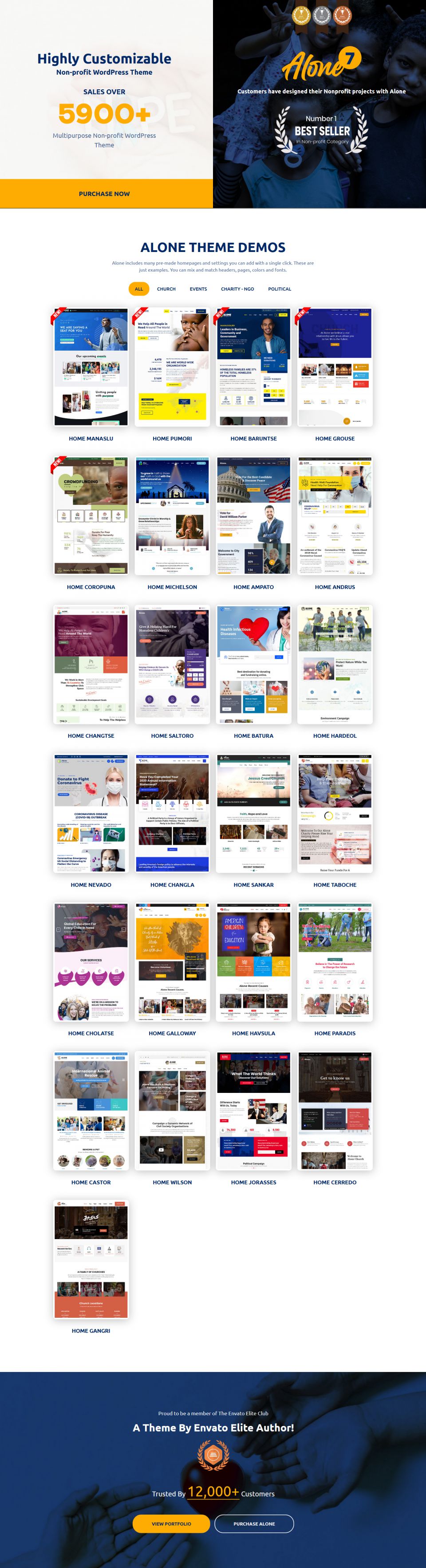 WordPress template ThemeForest Alone