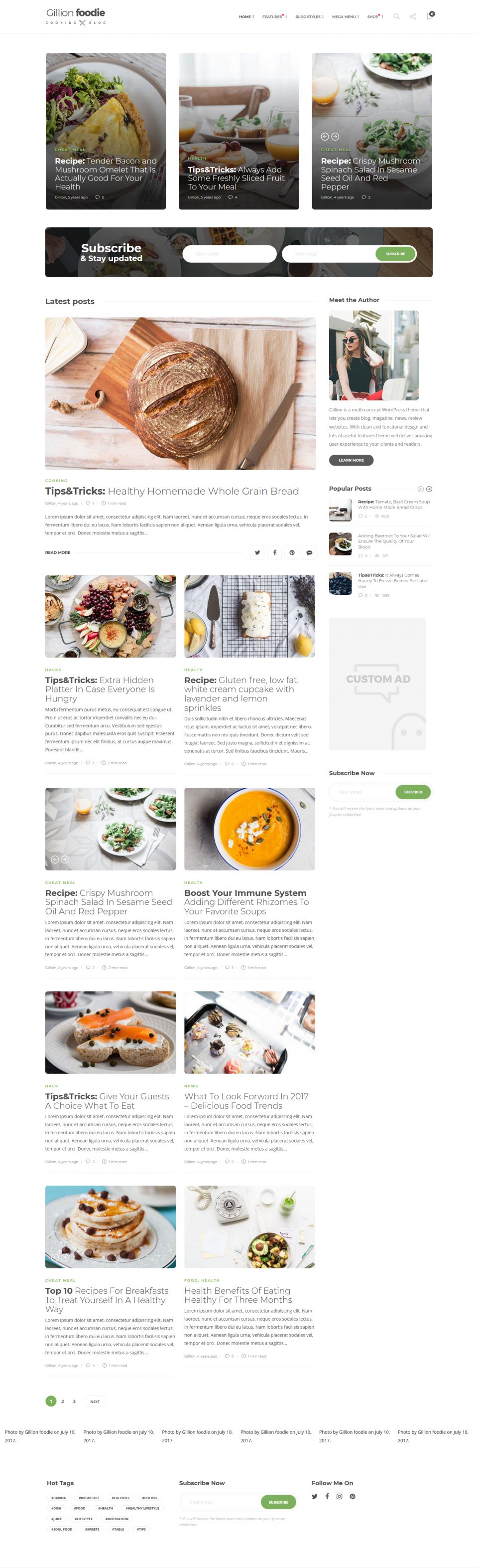 WordPress template ThemeForest Gillion