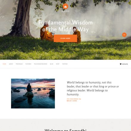 ThemeForest Samadhi