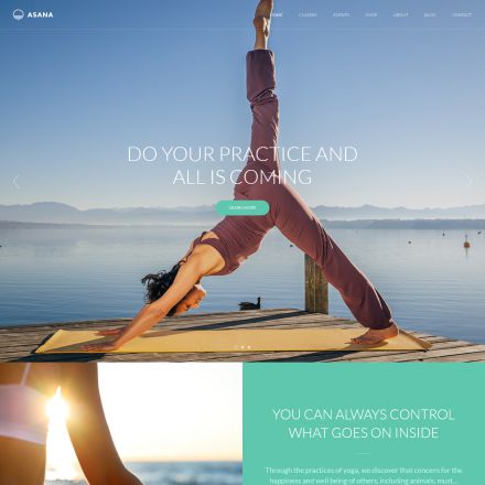 ThemeForest Asana