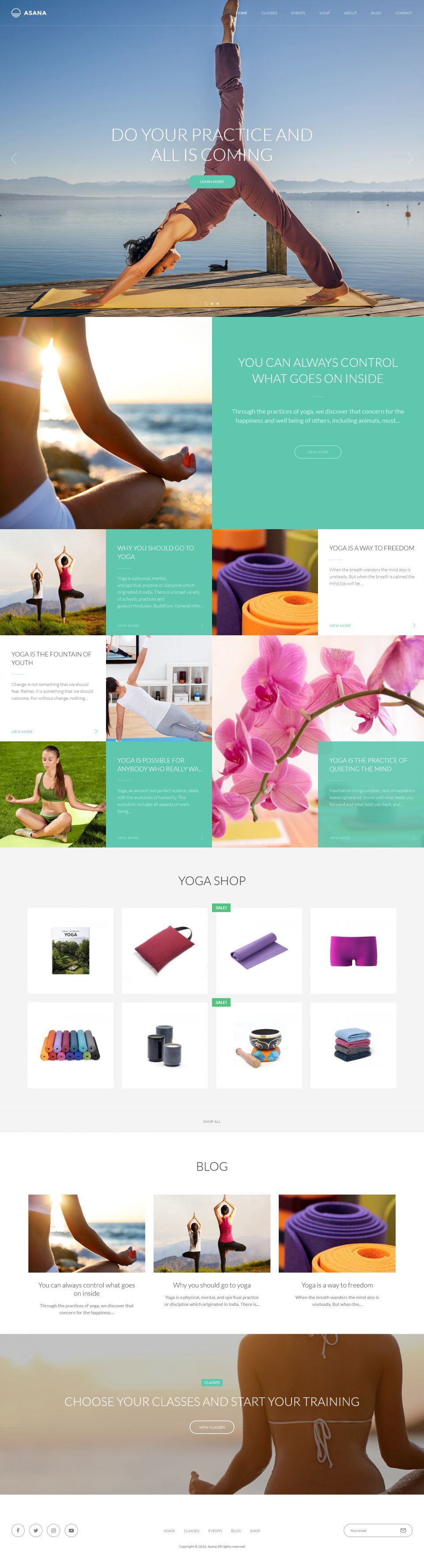 Template ThemeForest Asana WordPress template ThemeForest Asana