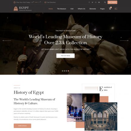 ThemeForest Egypt