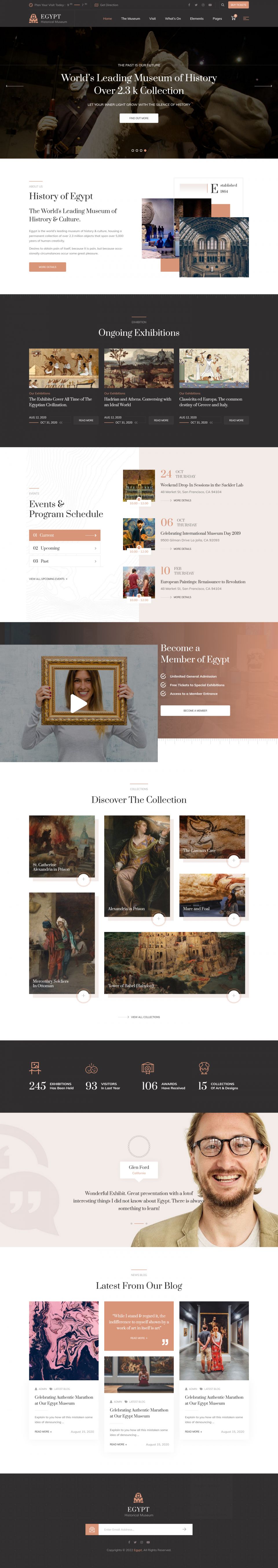 WordPress template ThemeForest Egypt