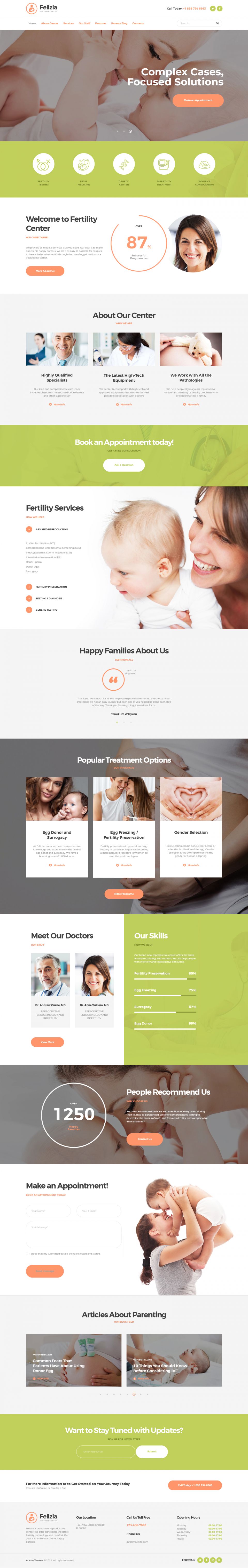 WordPress template ThemeForest Felizia