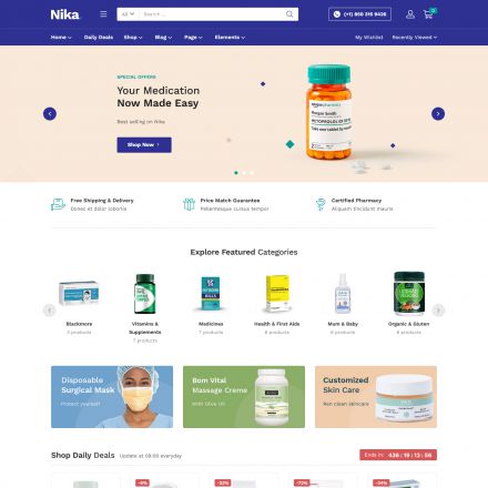 ThemeForest Nika