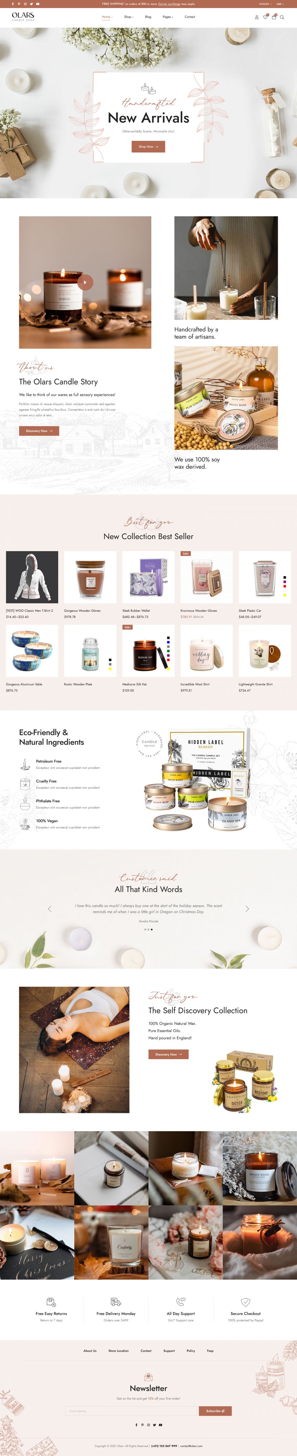 WordPress template ThemeForest Olars