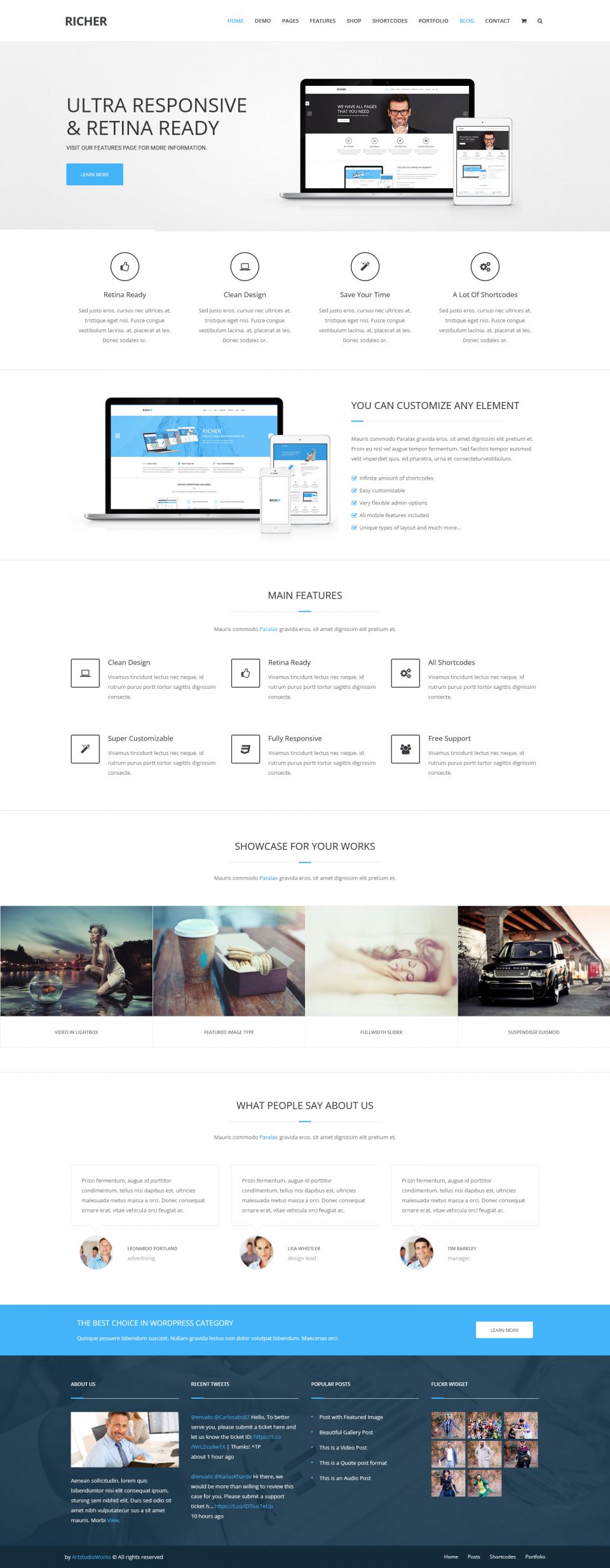 WordPress template ThemeForest Richer