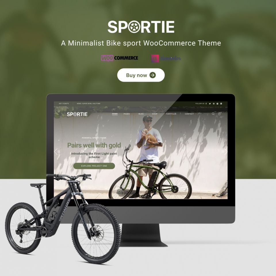 WordPress template ThemeForest Sportie