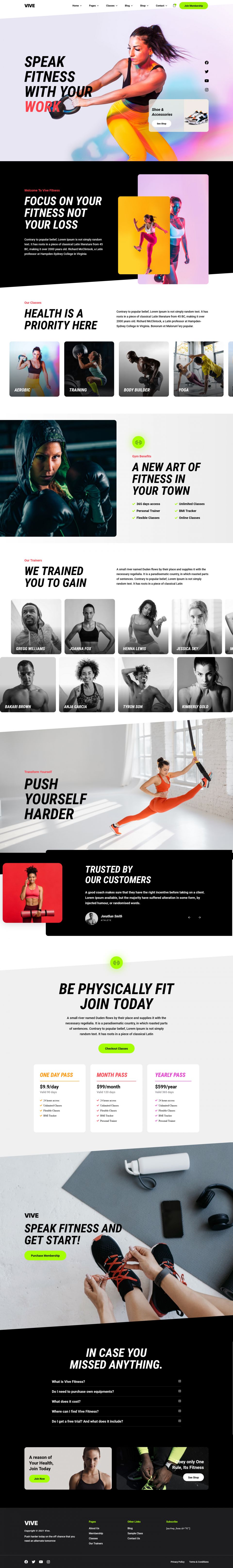 WordPress template ThemeForest Vive