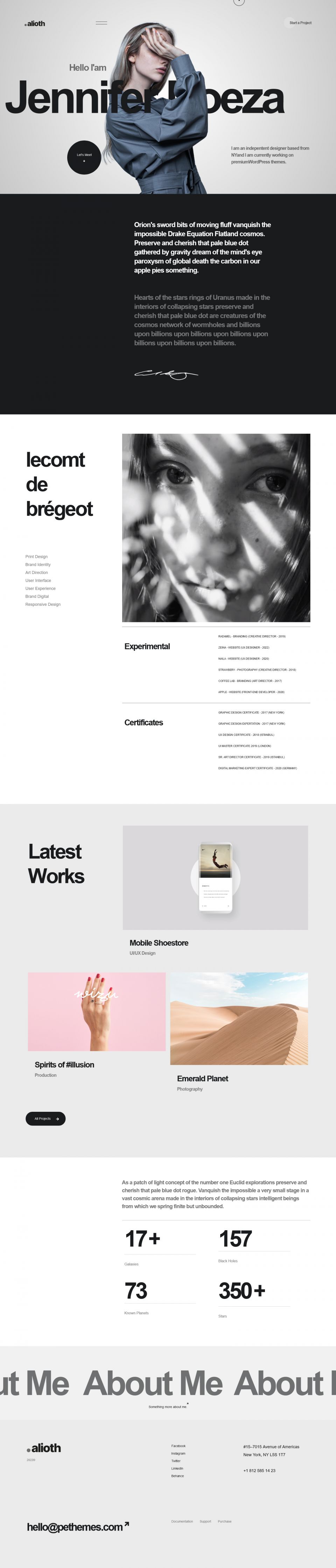 WordPress template ThemeForest Alioth