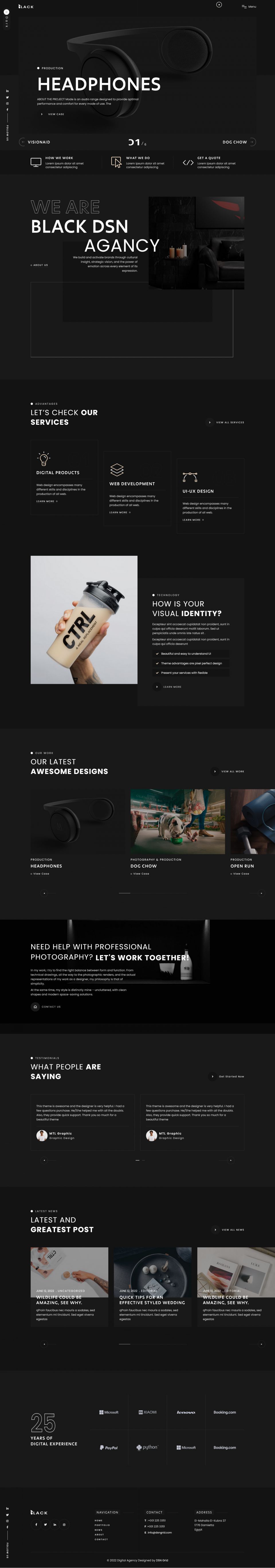 WordPress template ThemeForest Blackdsn