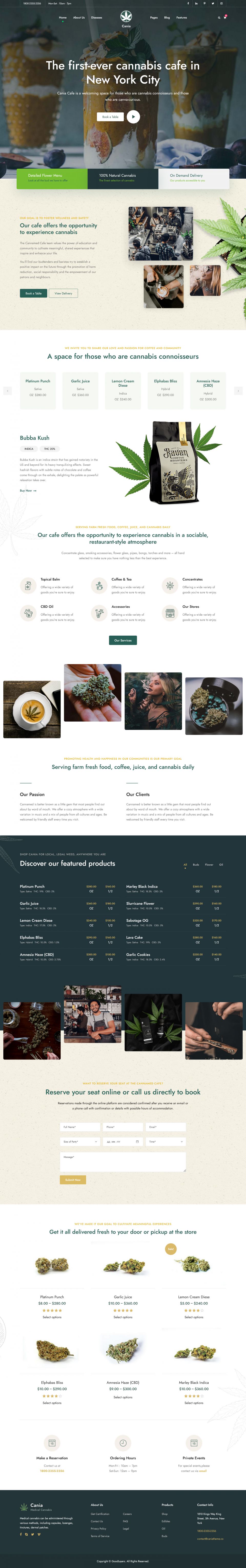 WordPress template ThemeForest Cania