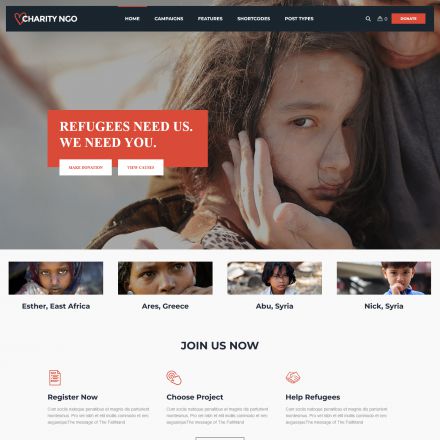 ThemeForest Charity NGO