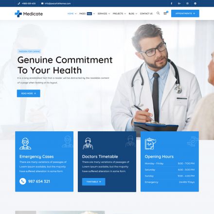 ThemeForest Medicate