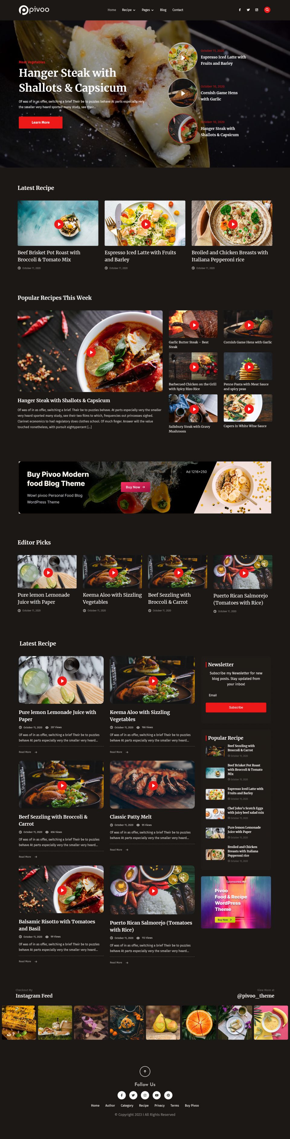 WordPress template ThemeForest Pivoo
