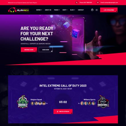 ThemeForest Playrex