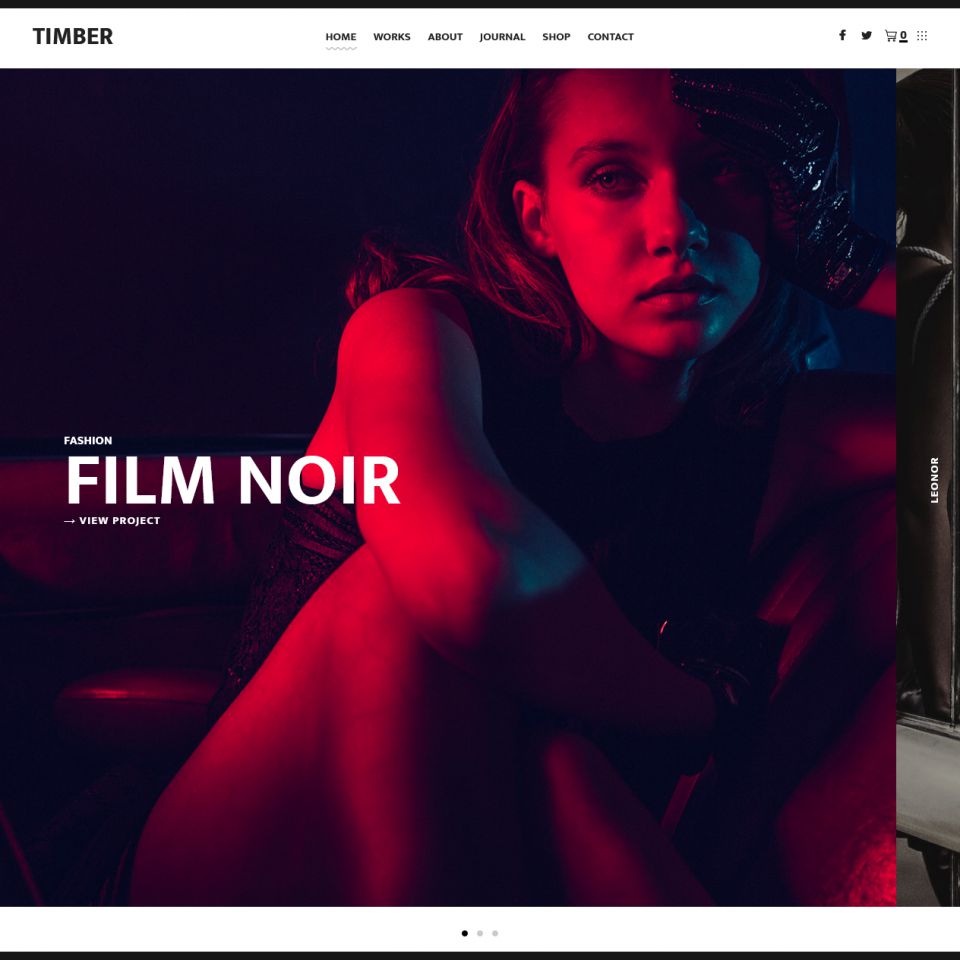 WordPress template ThemeForest Timber