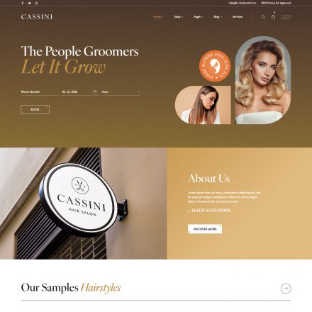 ThemeForest Cassini