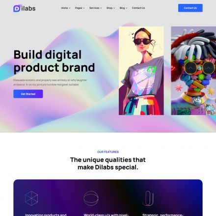 ThemeForest Dilabs