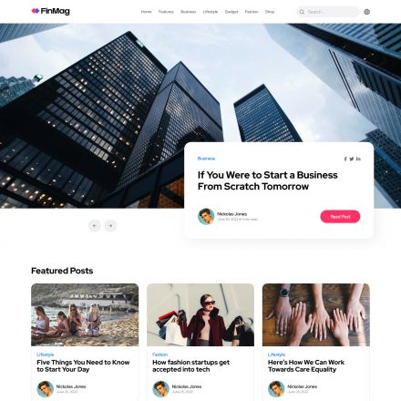 ThemeForest FinMag