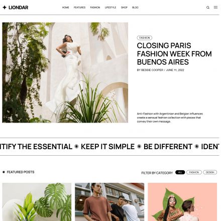 ThemeForest Liondar