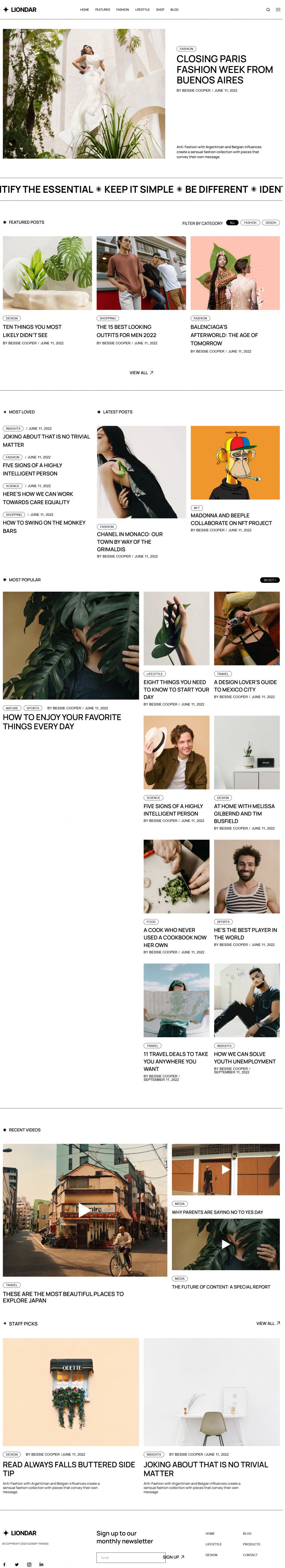 WordPress template ThemeForest Liondar