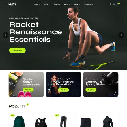 ThemeForest Natsy