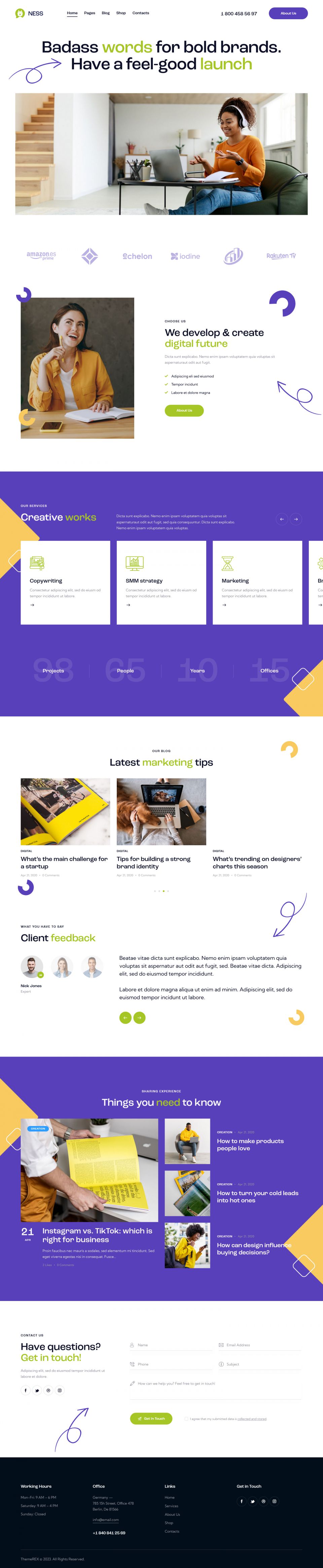 WordPress template ThemeForest Ness