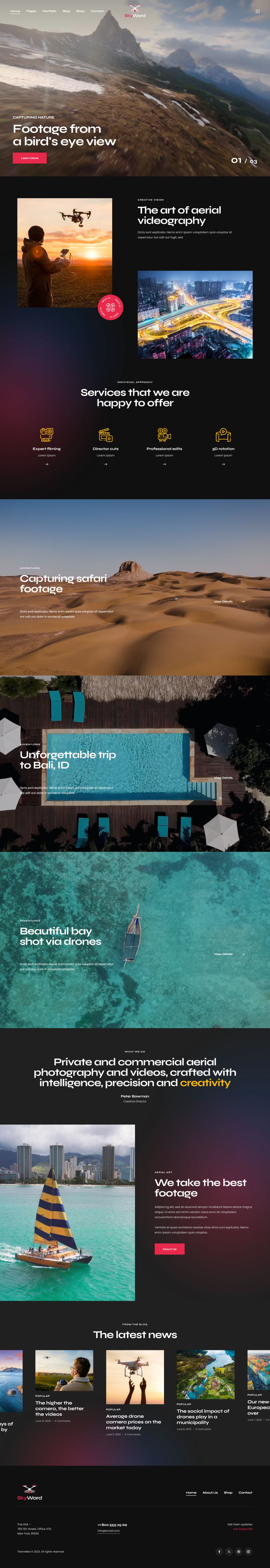 WordPress template ThemeForest Skyward