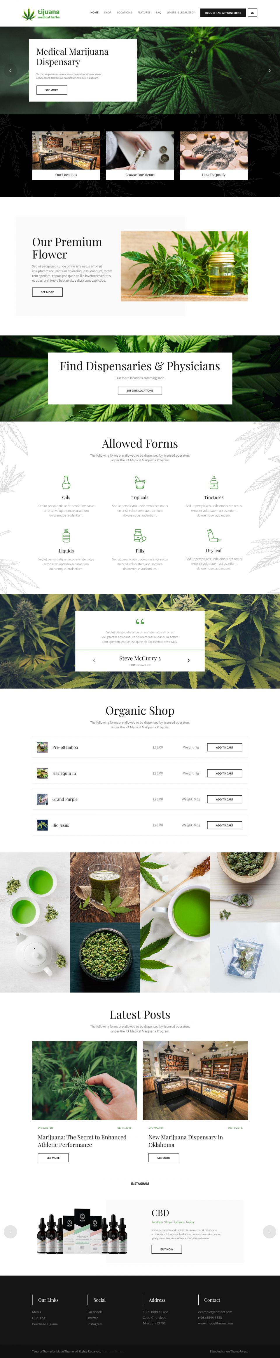 WordPress template ThemeForest Tijuana