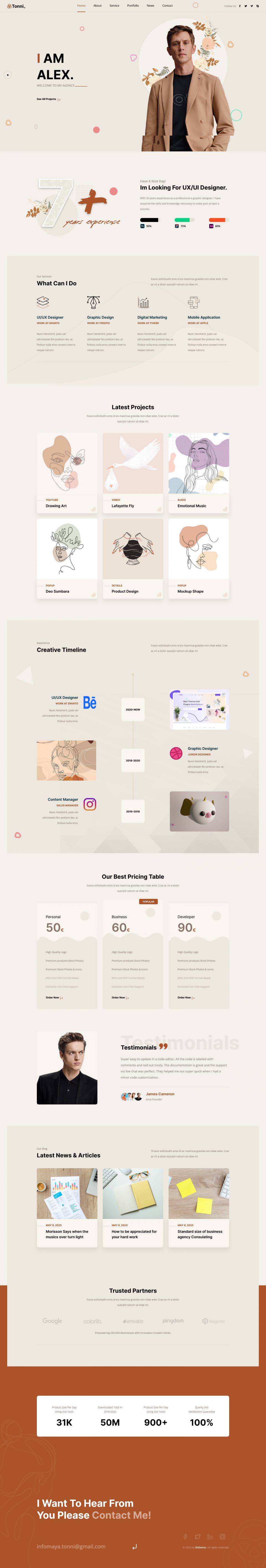 WordPress template ThemeForest Tonni