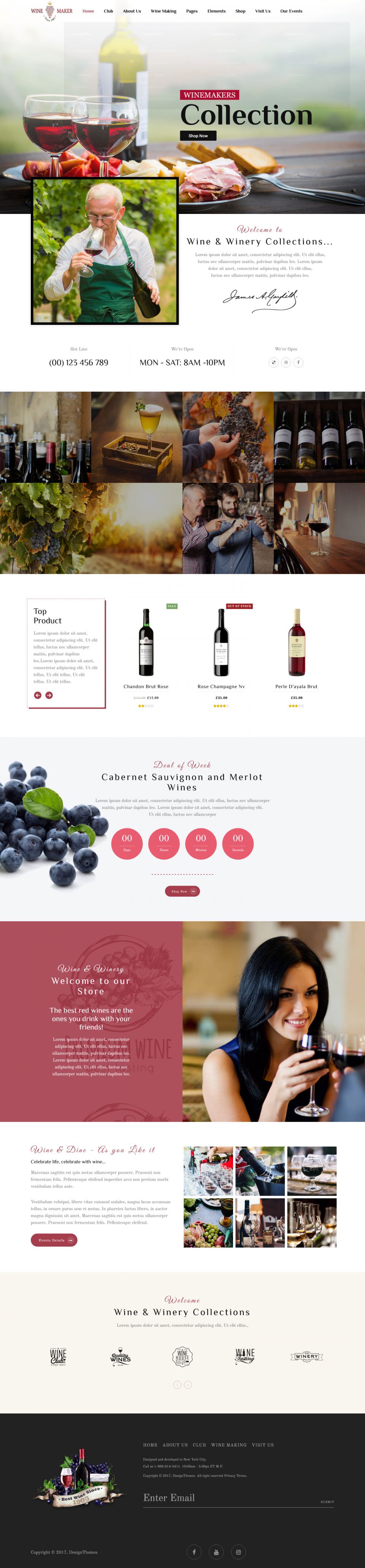 WordPress template ThemeForest Wine Maker