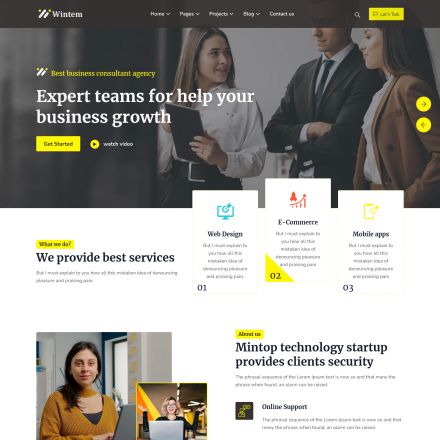 ThemeForest Wintem