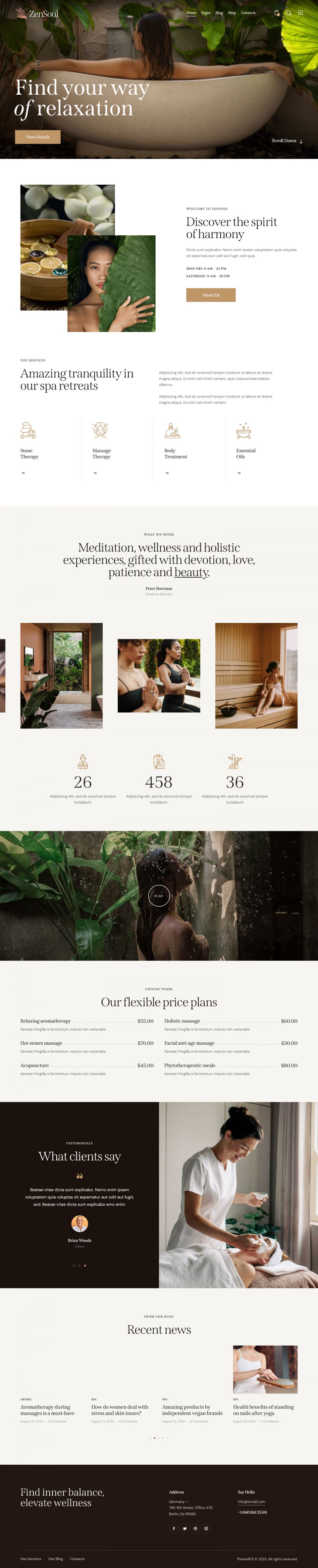 WordPress template ThemeForest ZenSoul