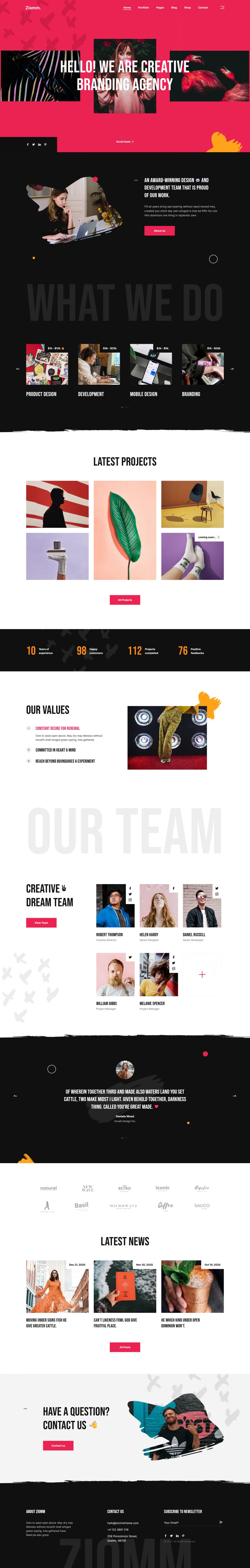 WordPress template ThemeForest Ziomm