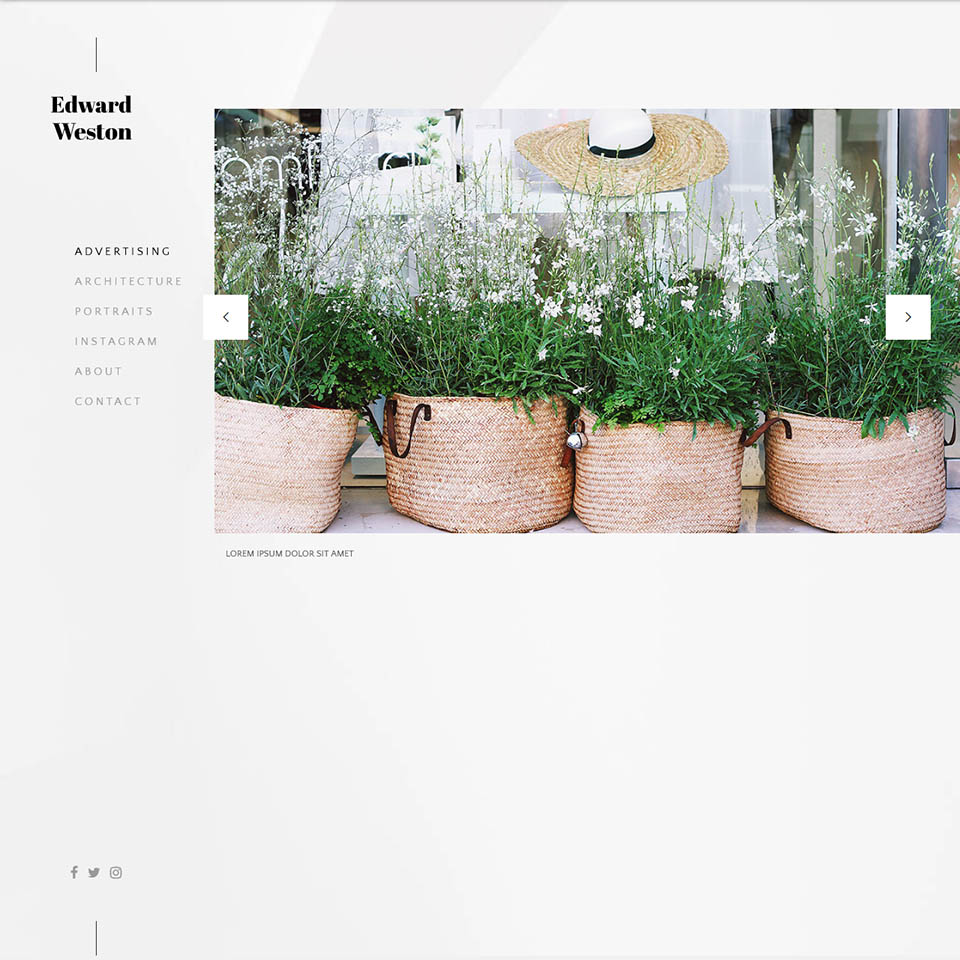 WordPress template ThemeFuse Edward Weston