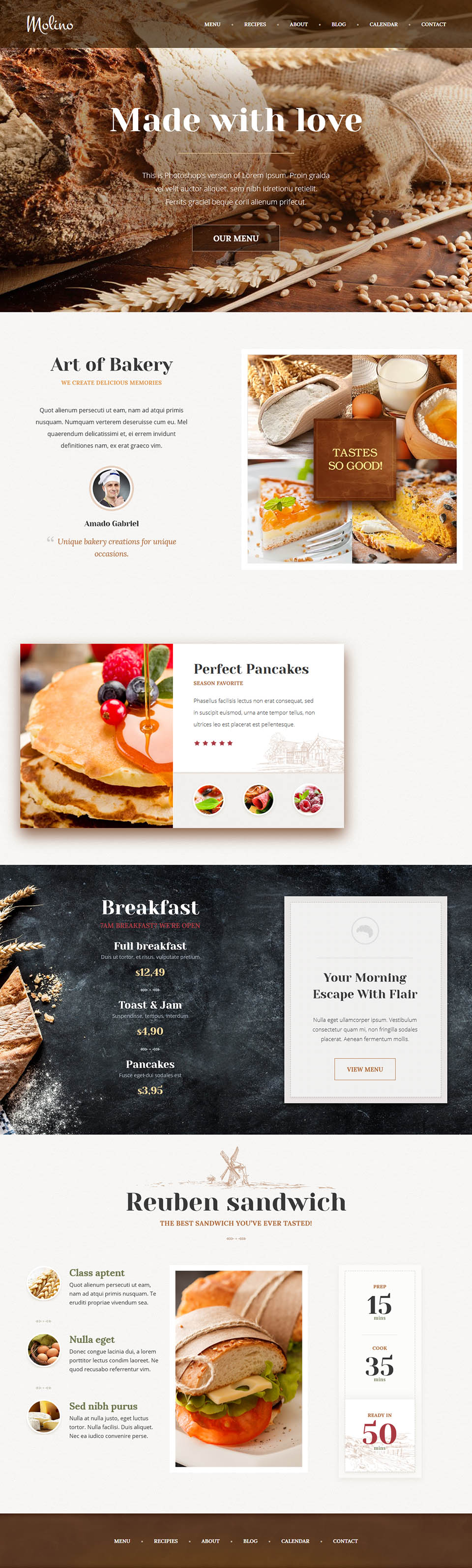 WordPress template ThemeFuse Molino