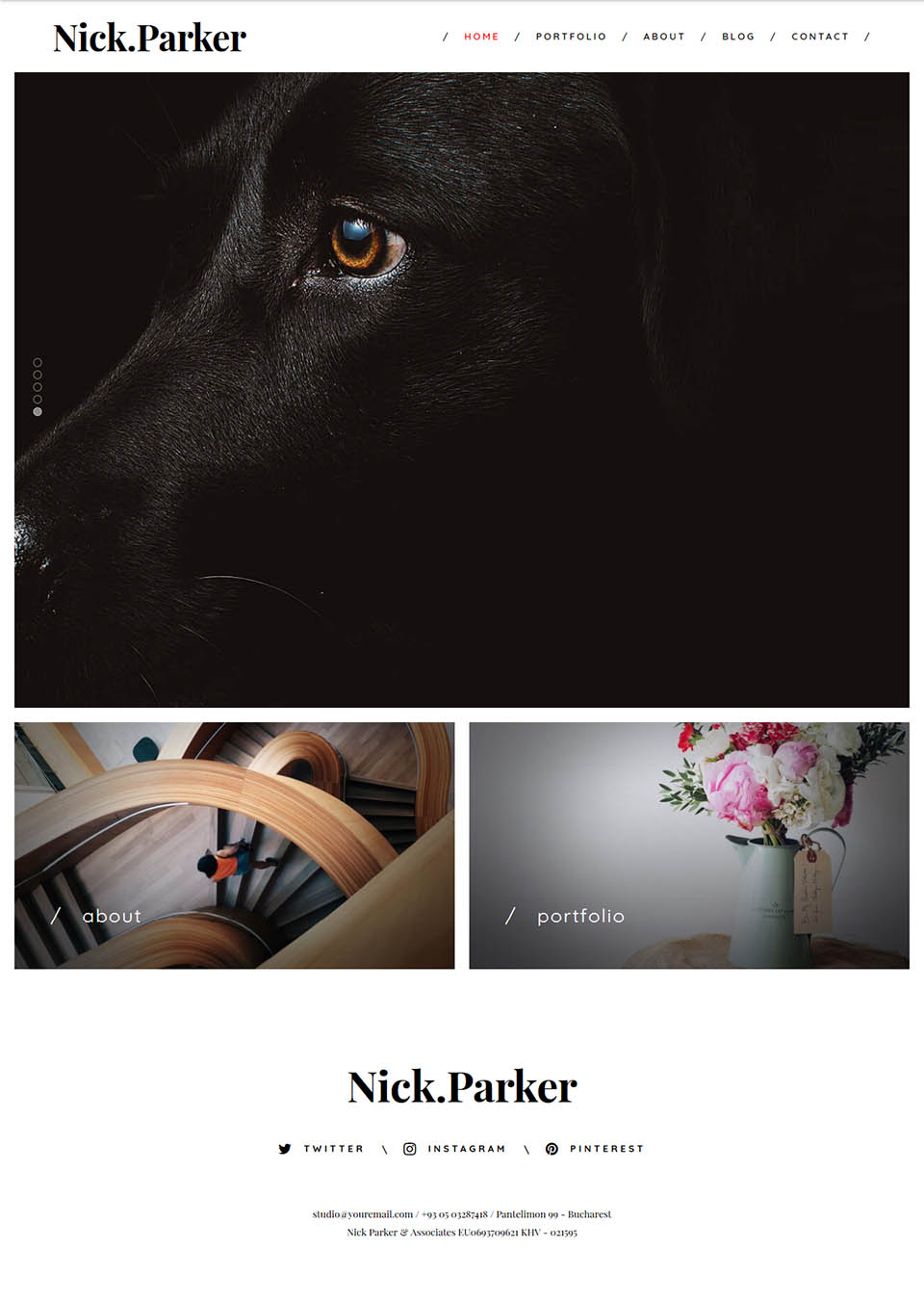 WordPress template ThemeFuse Nick Parker