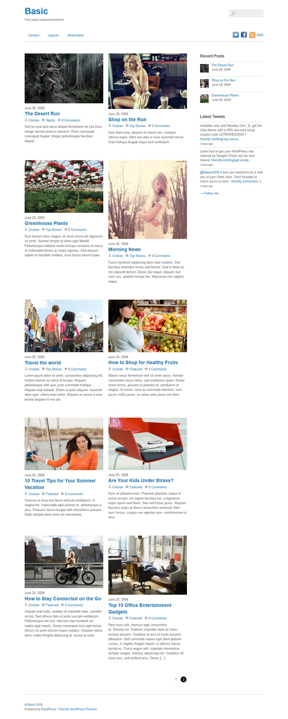 WordPress template Themify Basic