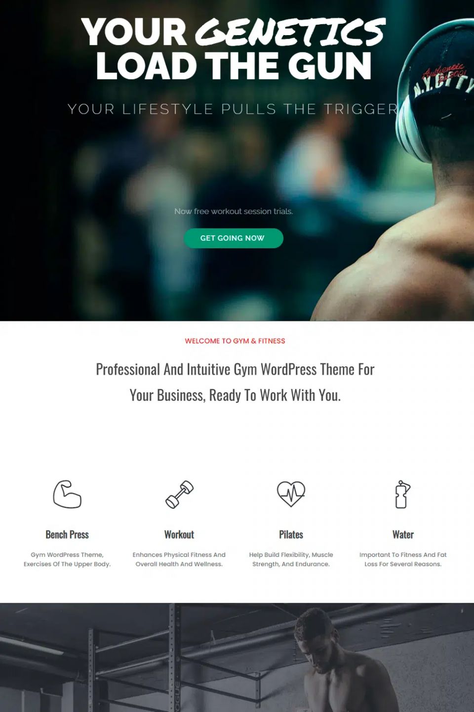 Template Visualmodo Gym WordPress template Visualmodo Gym