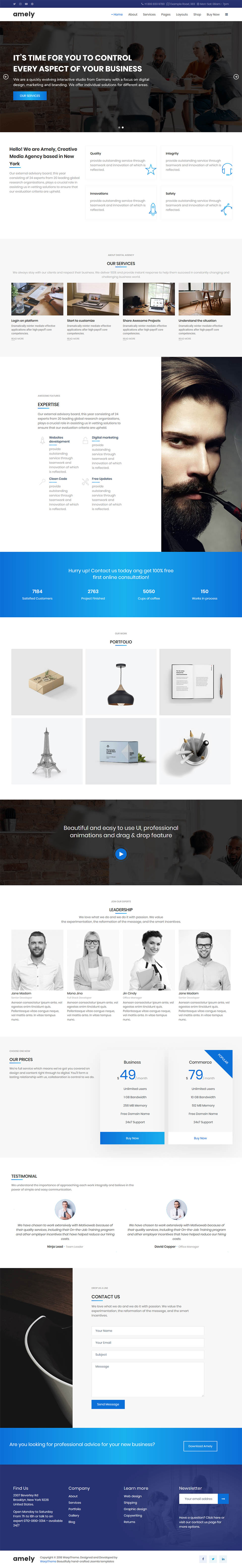 WordPress template WarpTheme Amely Pro