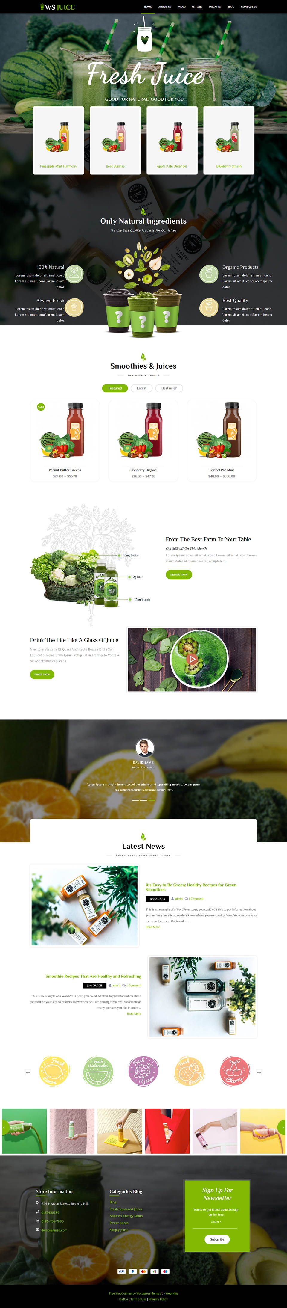 WordPress template WooSkins Juice