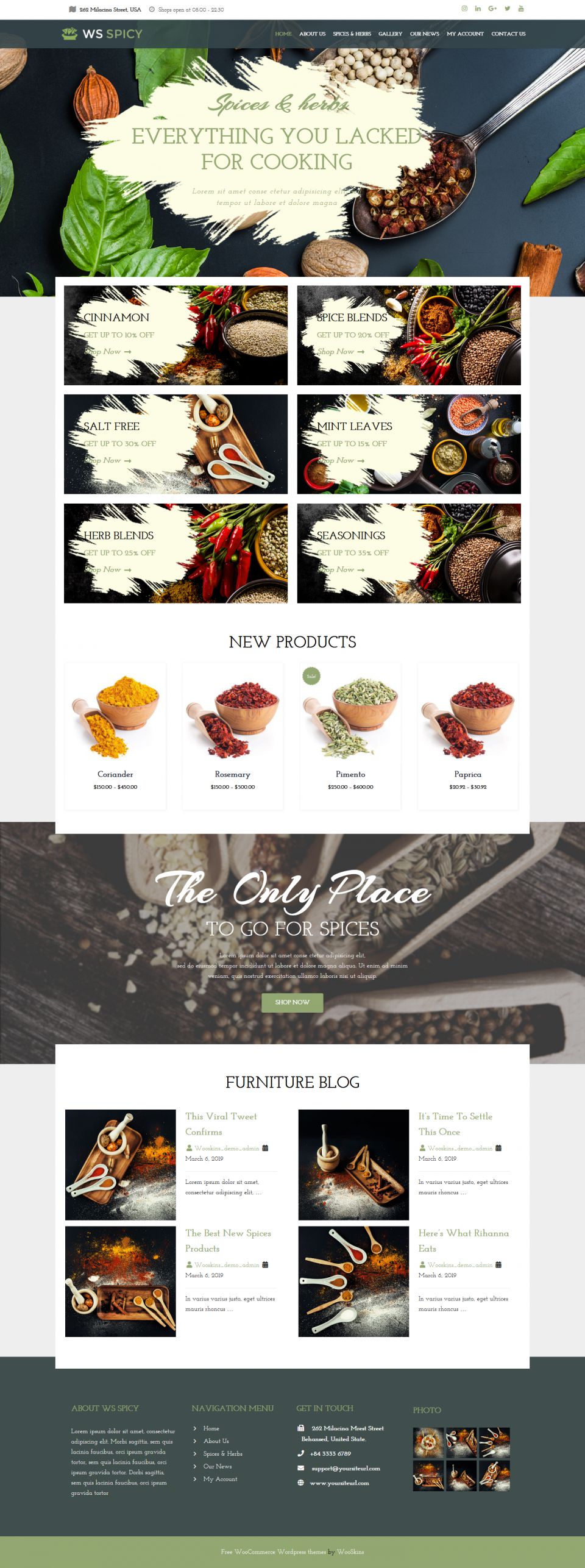 WordPress template WooSkins Spicy