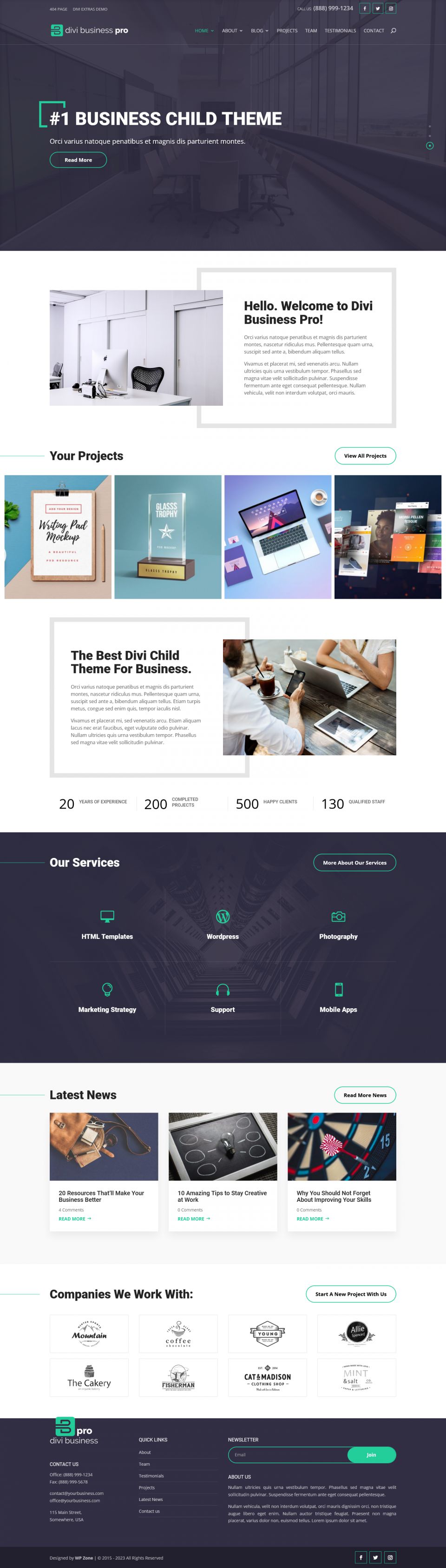 WordPress template WP Zone Divi Business Pro