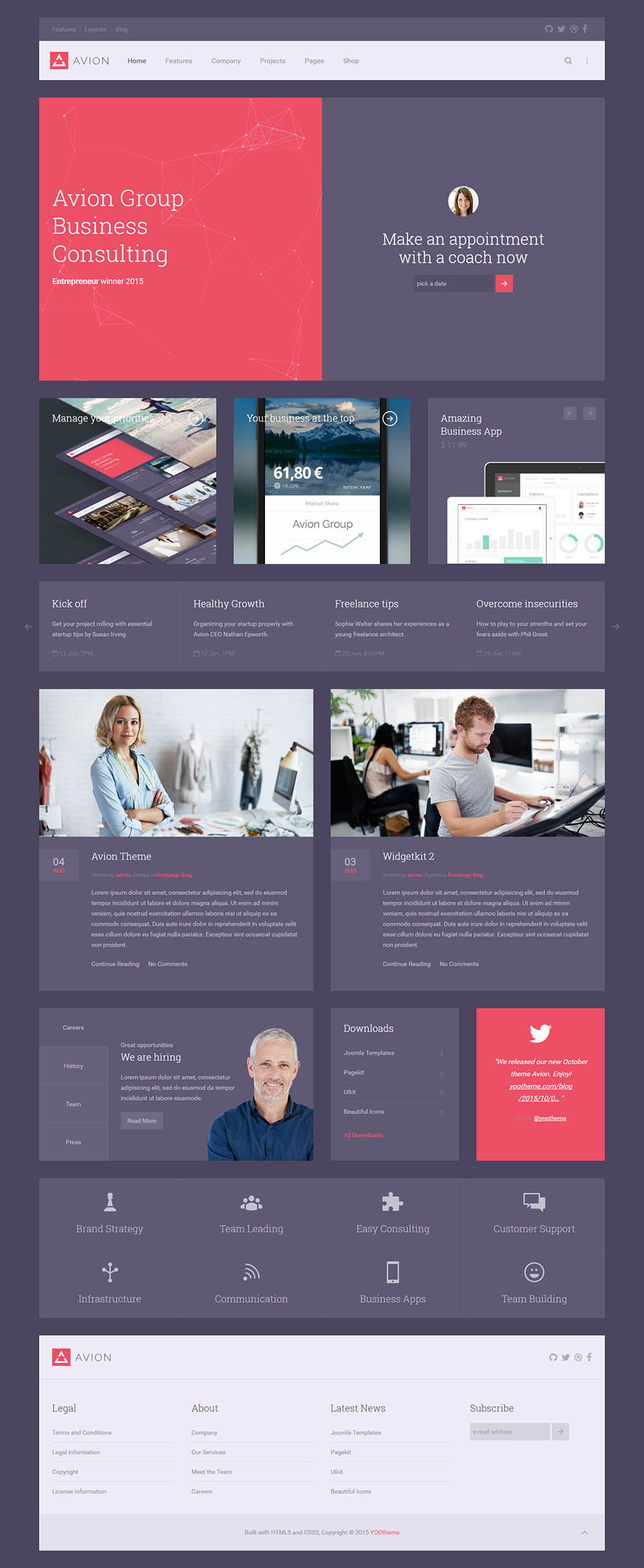 WordPress template YOOtheme Avion