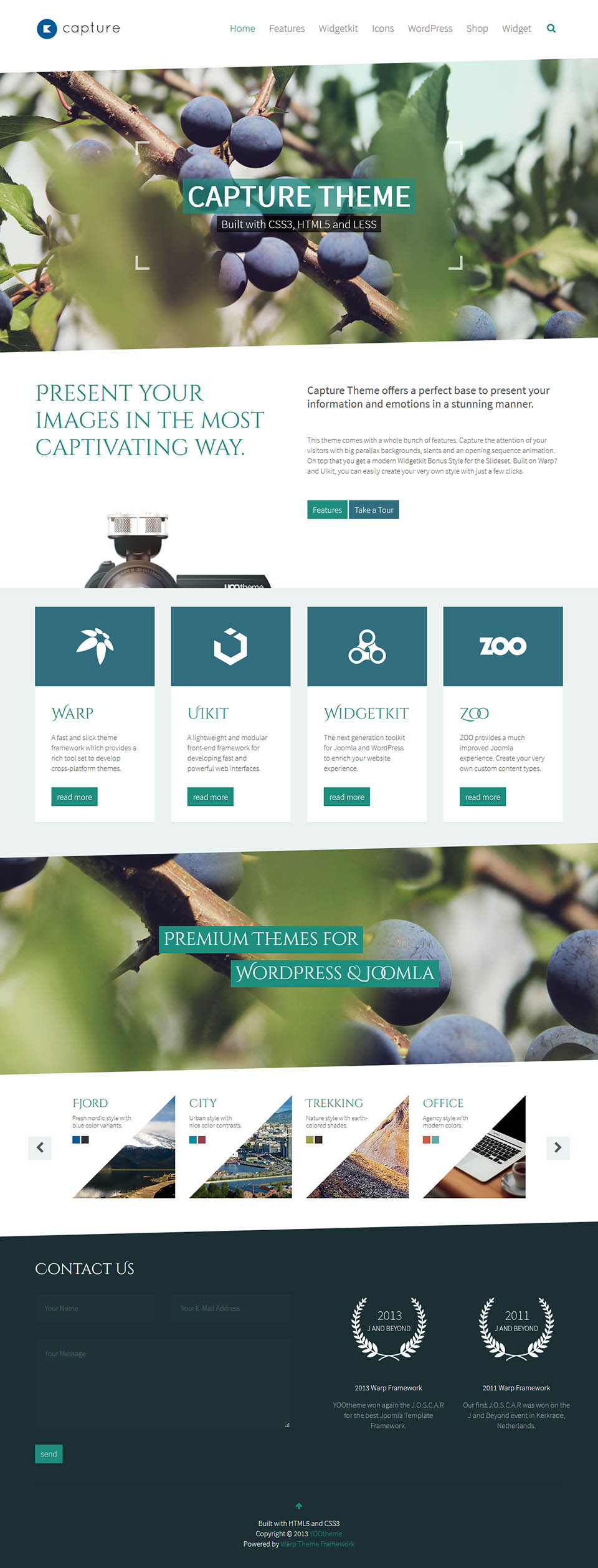 WordPress template YOOtheme Capture