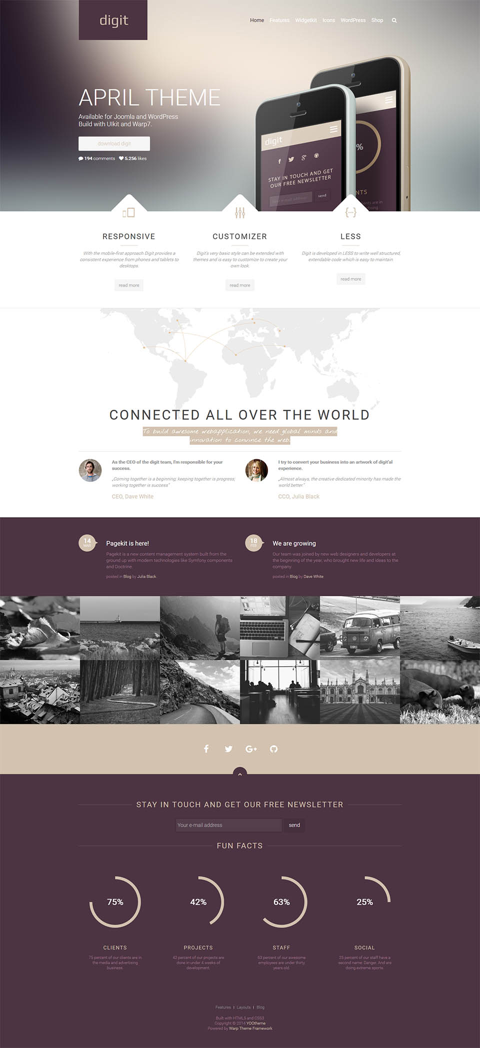 WordPress template YOOtheme Digit
