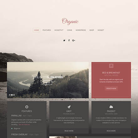 YOOtheme Organic