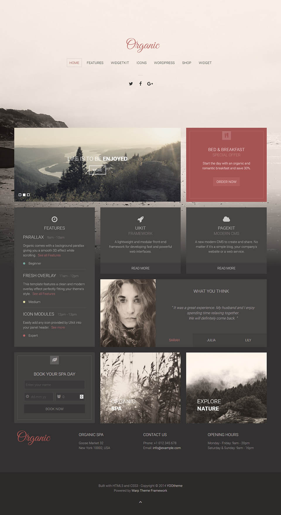 WordPress template YOOtheme Organic